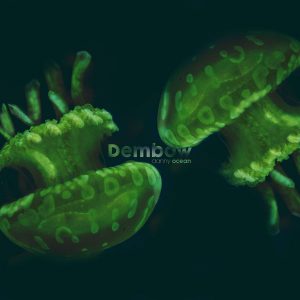 Danny Ocean – Dembow